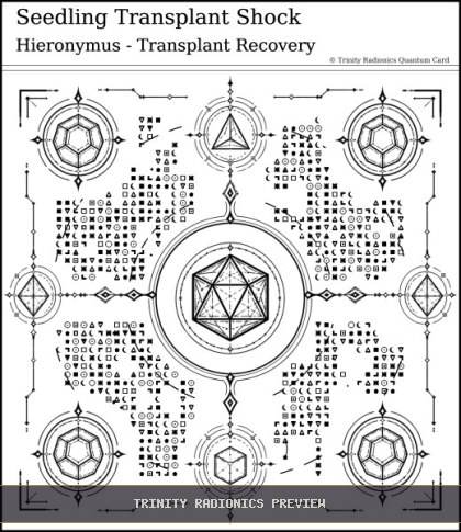 Seedling Transplant Shock Quantum radionics card preview