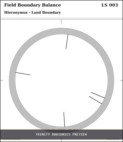 Field Boundary Balance Radial radionics card preview