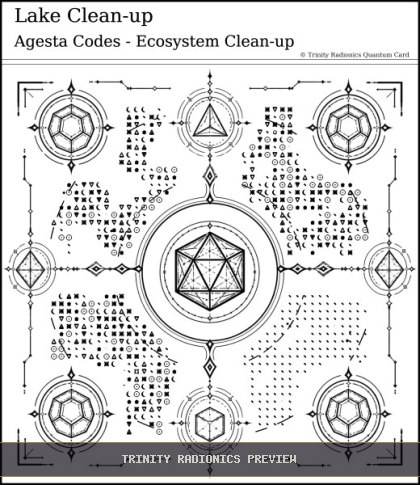 Lake Clean-up Quantum radionics card preview