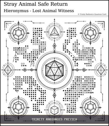 Stray Animal Safe Return Quantum radionics card preview