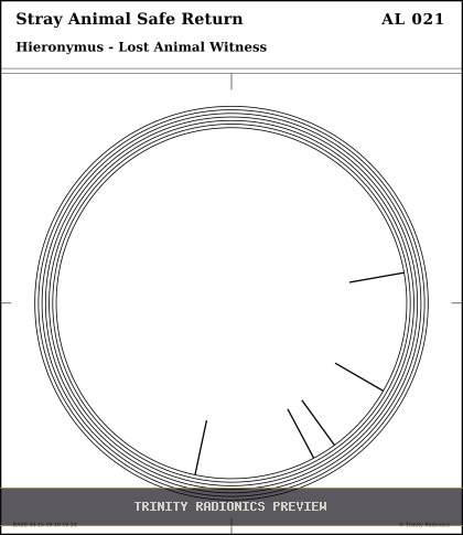 Stray Animal Safe Return Radial radionics card preview